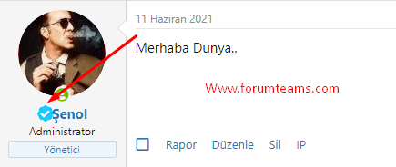 [Resim: xenforo-tik-onay.png]